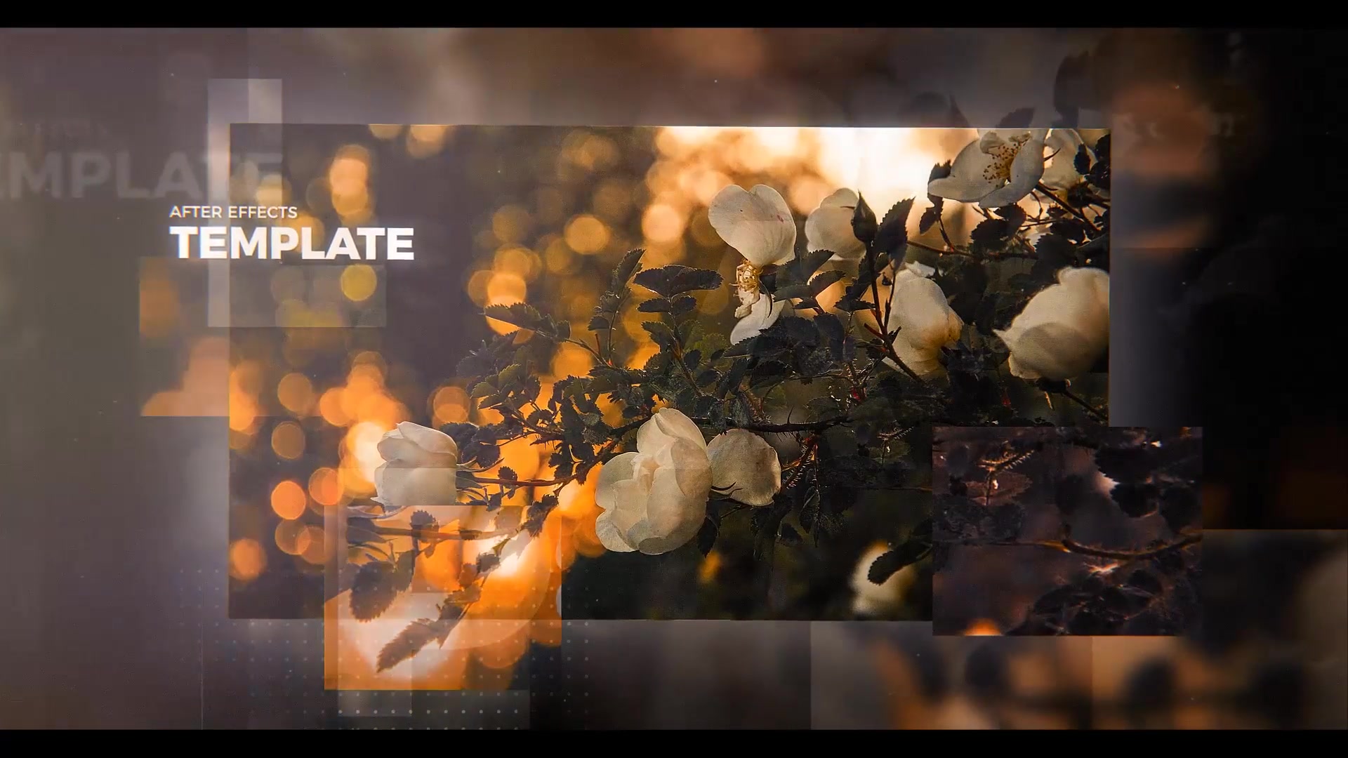 Slideshow Videohive 23384080 After Effects Image 9