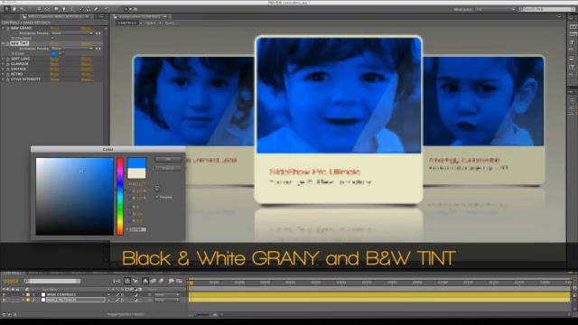 Slideshow Pro Ultimate - Download Videohive 2759856