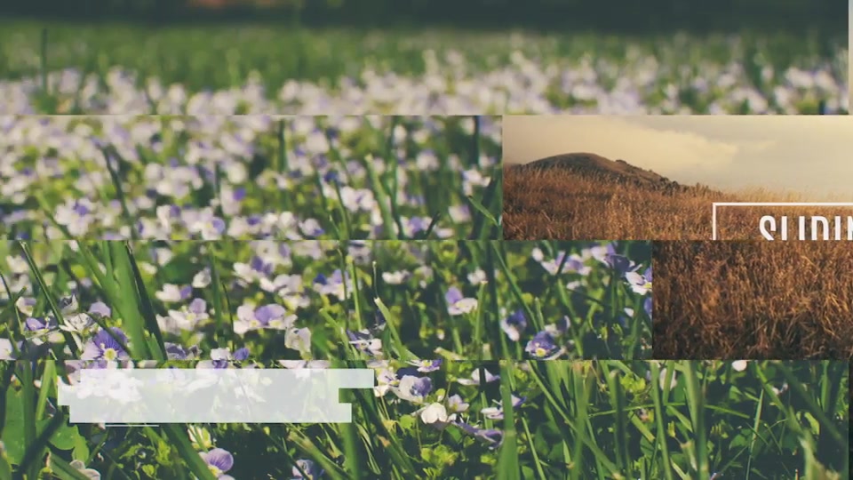 Sliding Slideshow Videohive 15810005 After Effects Image 10
