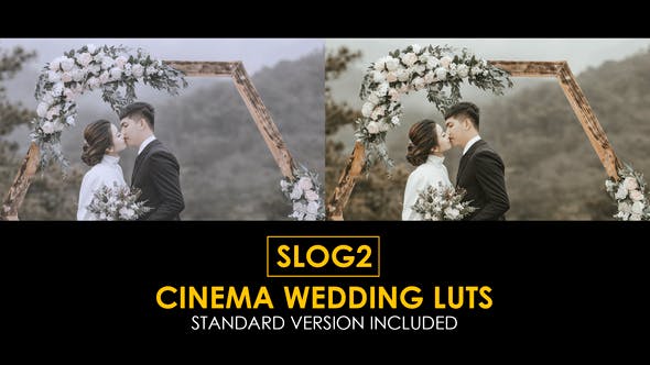Slog2 Cinema Wedding LUTs - Download 40270196 Videohive