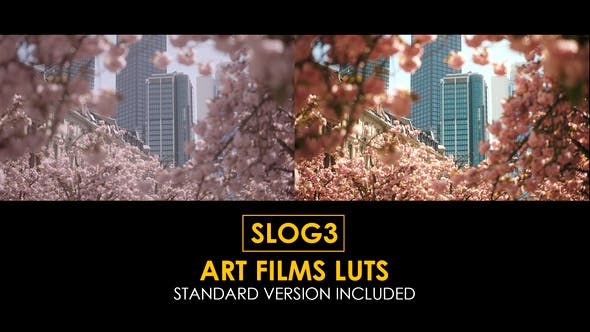 Slog3 Art Films and Standard LUTs - 40754955 Download Videohive