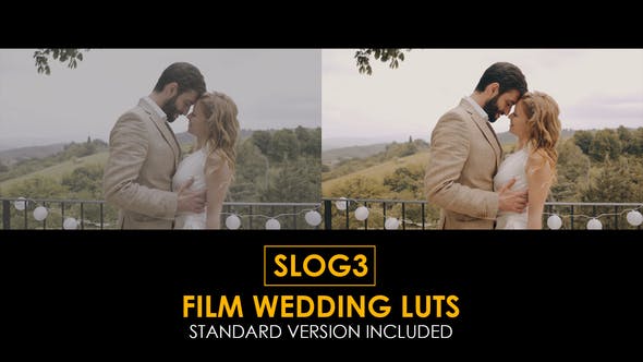 Slog3 Film Wedding And Standard LUTs - 39803949 Download Videohive