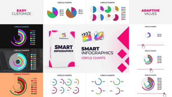 Smart Infographics Circle Chart for Final Cut Pro X & Apple Motion - Download 38121374 Videohive
