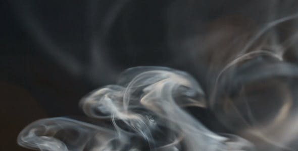 Smoke  - 244633 Videohive Download