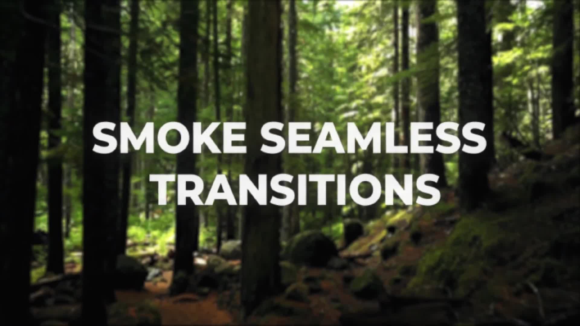 Smoke Seamless Transitions for After Effects Videohive 39554448 After Effects Image 1