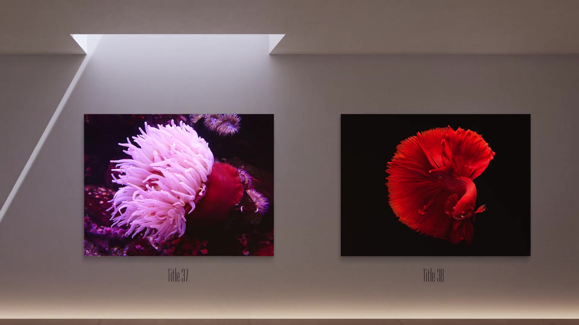 Smooth Art Gallery Videohive 38619830 After Effects Image 10
