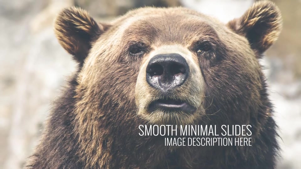 Smooth Minimal Slides - Download Videohive 9277042