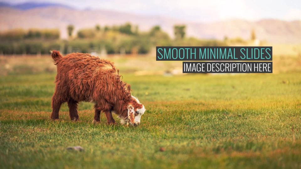 Smooth Minimal Slides - Download Videohive 9277042