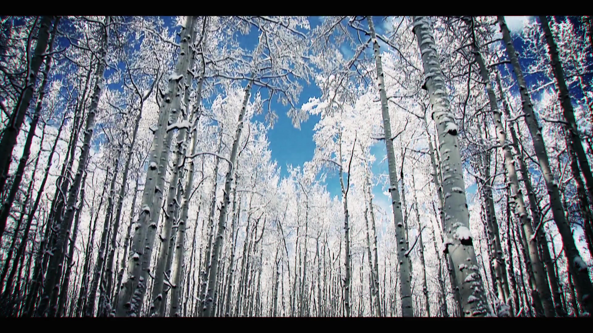 Snowfall Dramatic Trailer for Premiere Pro Videohive 32096888 Premiere Pro Image 11