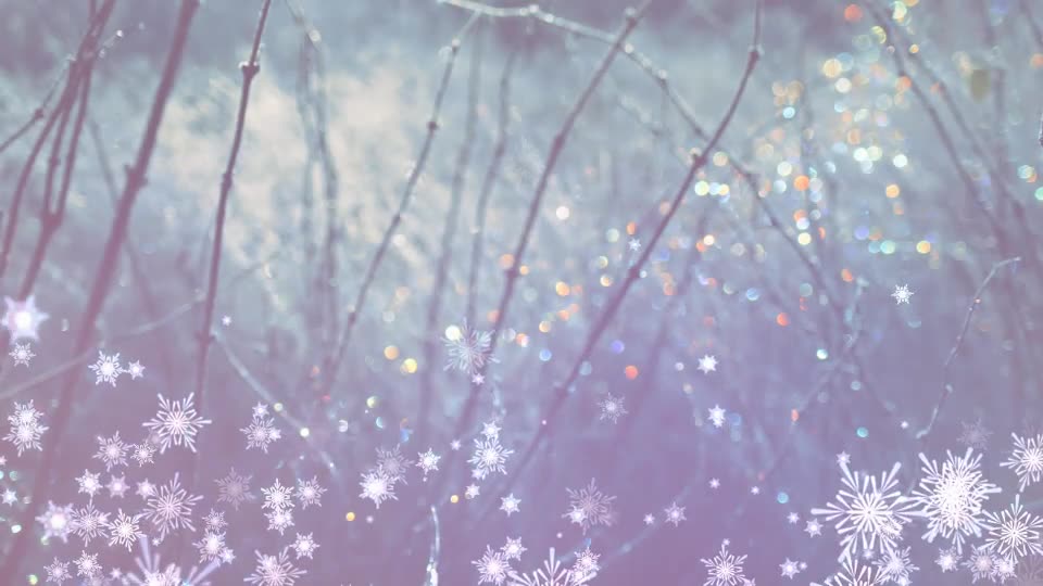 Snowflakes Overlays and Backgrounds Videohive 9697427 After Effects Image 2