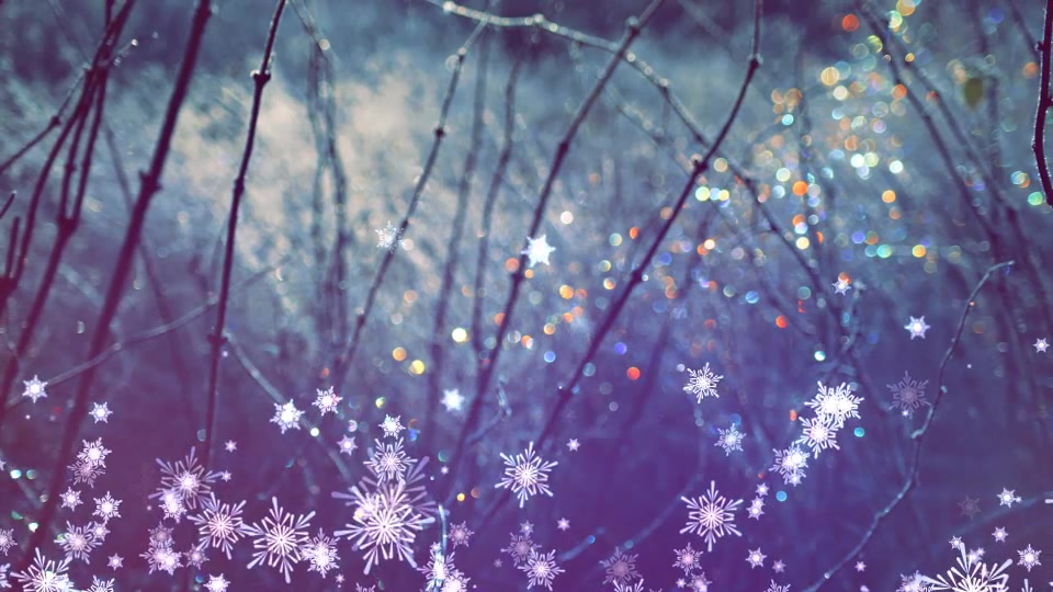 Snowflakes Overlays and Backgrounds Videohive 9697427 After Effects Image 3