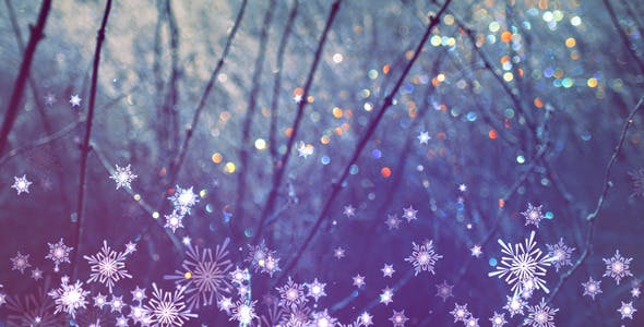 Snowflakes Overlays and Backgrounds - Videohive 9697427 Download