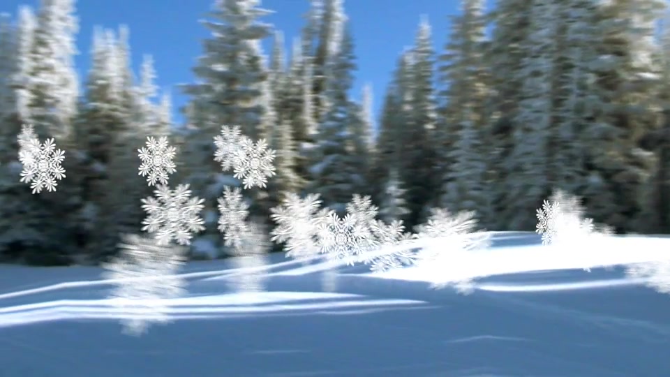 Snowflakes Transition Videohive 9294094 After Effects Image 7