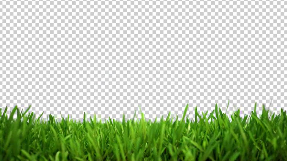 Soccer and Growing Green Grass Lower Third Videohive 5396211 After Effects Image 10