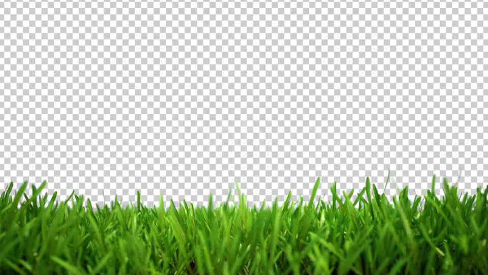 Soccer and Growing Green Grass Lower Third Videohive 5396211 After Effects Image 11