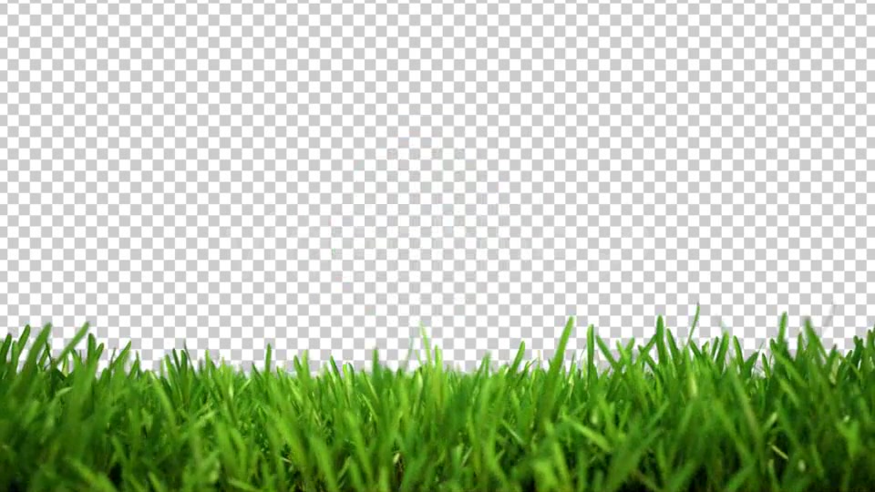 Soccer and Growing Green Grass Lower Third Videohive 5396211 After Effects Image 9