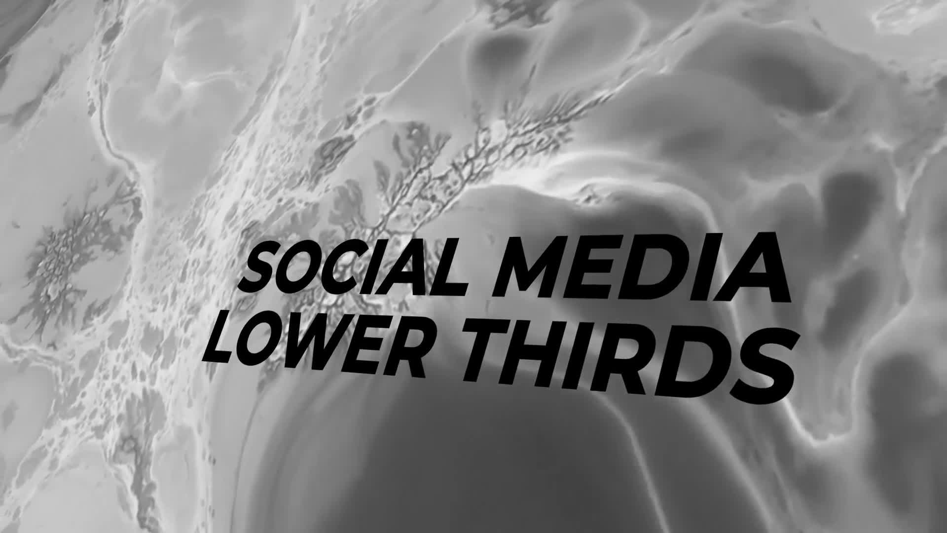 Social Lower Thirds Videohive 24578989 Premiere Pro Image 1