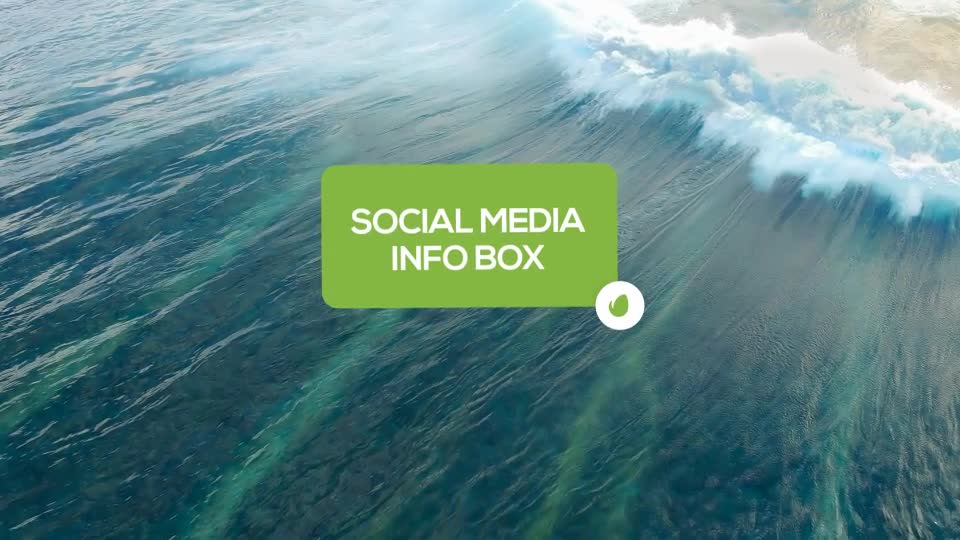 Social Media Info Box - Download Videohive 17785071