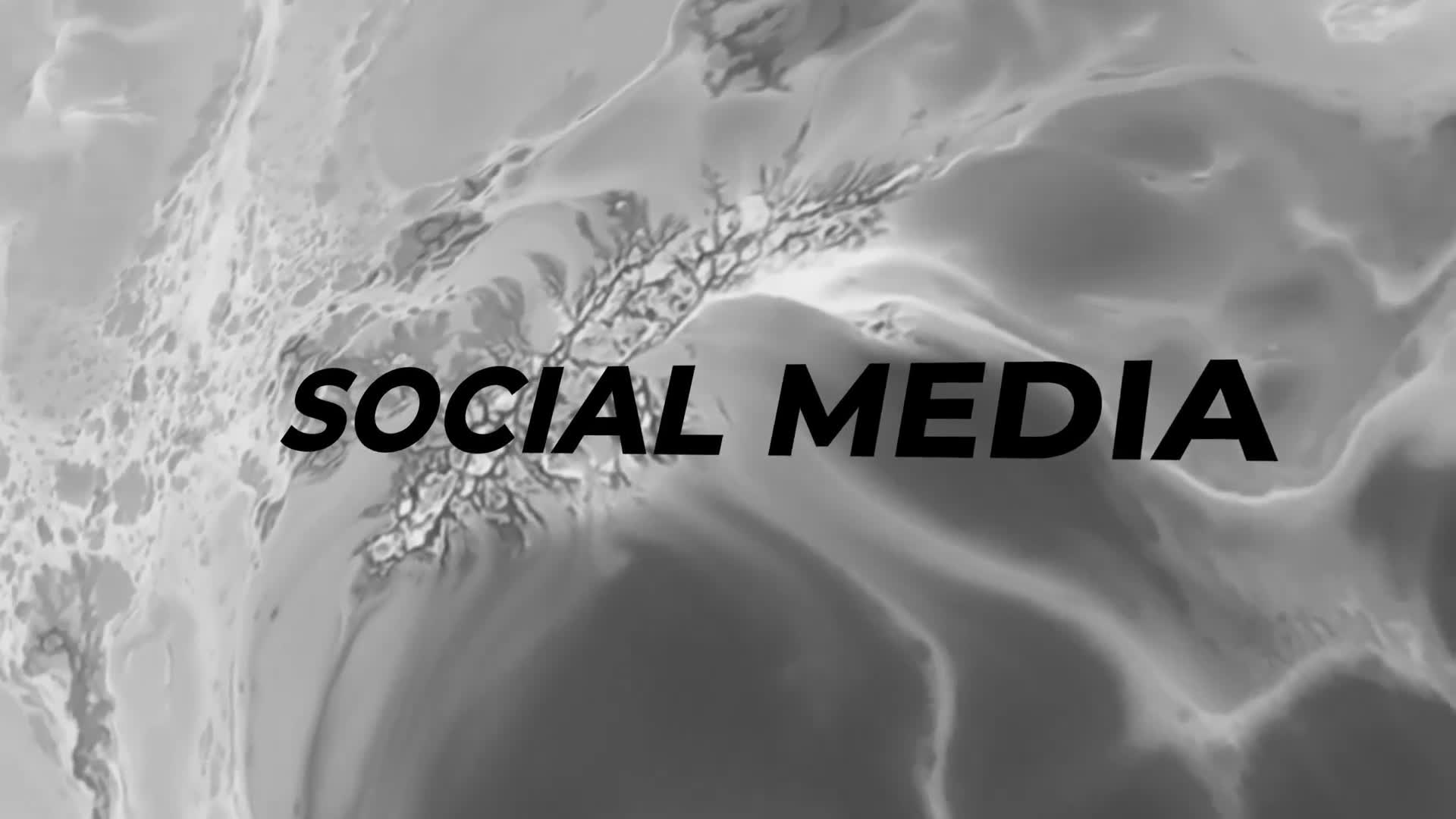 Social Media Lower Thirds Videohive 26569805 Premiere Pro Image 1