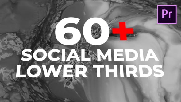 Social Media Lower Thirds - 26569805 Videohive Download