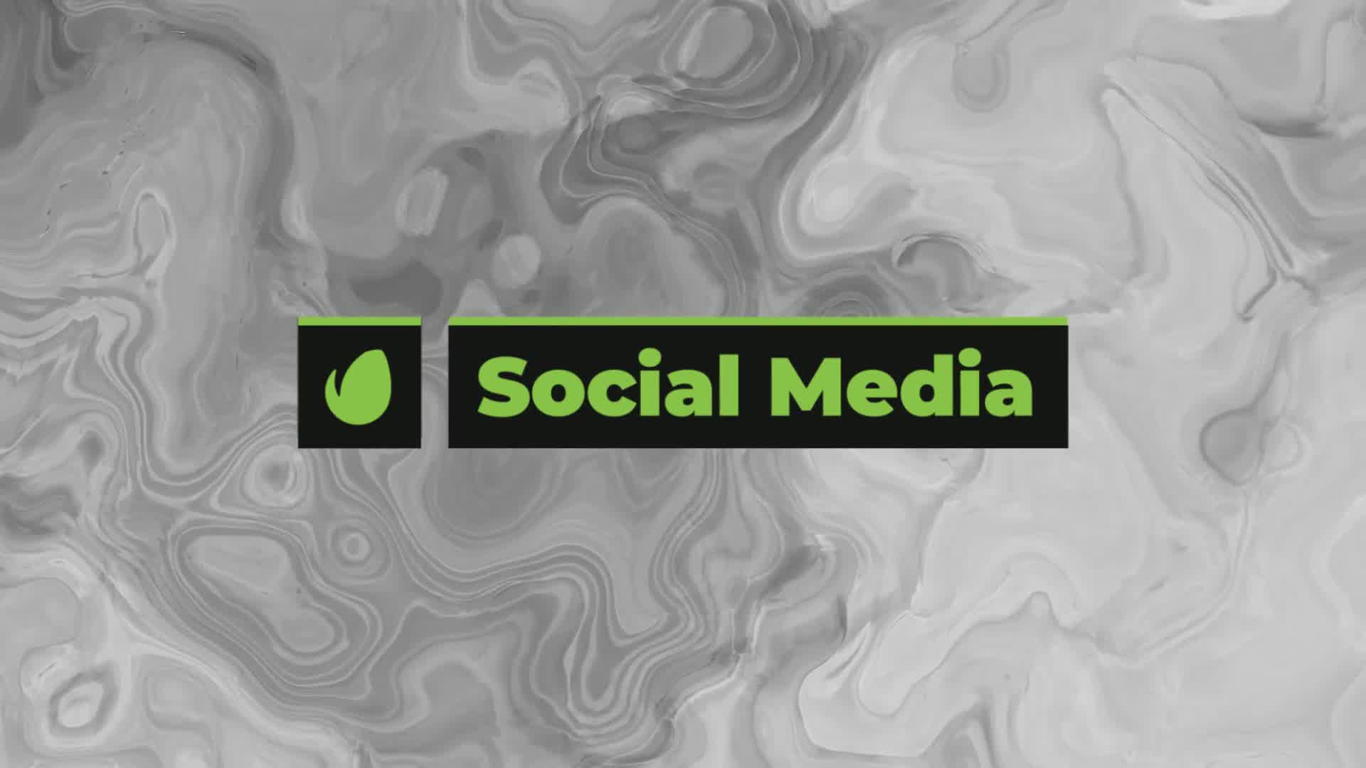 Social Media Lower Thirds Videohive 29799475 After Effects Image 10