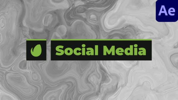 Social Media Lower Thirds - Download Videohive 29799475