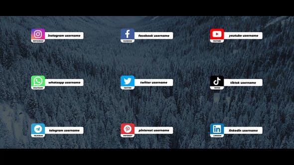 Social Media Lower Thirds - Download Videohive 29941265