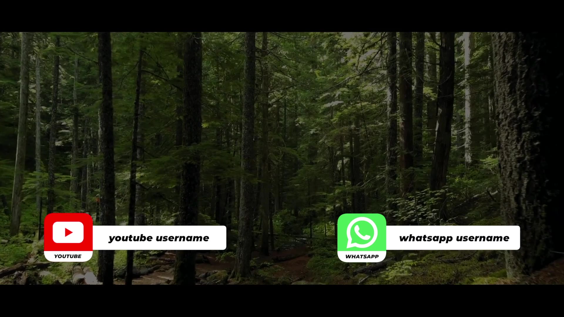 Social Media Lower Thirds For FCPX Videohive 31422669 Apple Motion Image 5