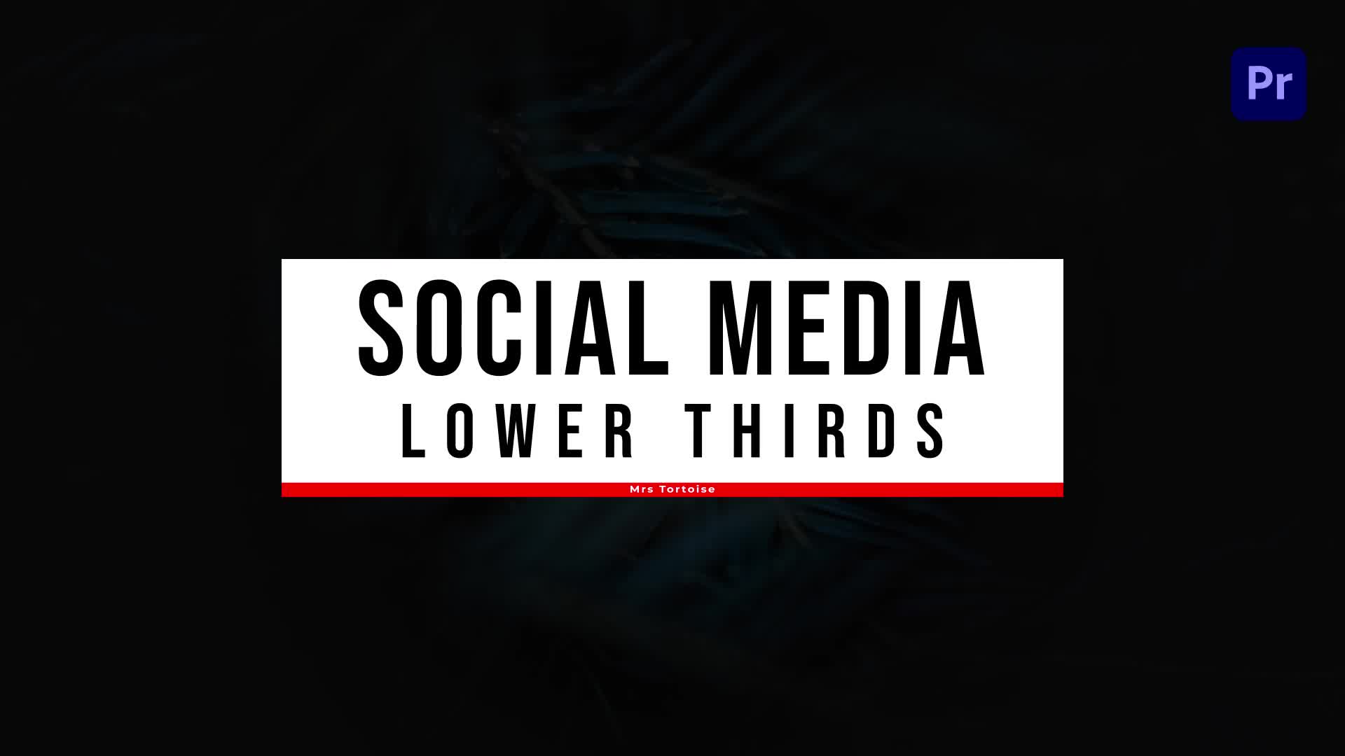 Social Media Lower Thirds Premiere Pro V.2 Videohive 37712569 Premiere Pro Image 1