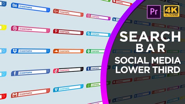 Social Media Search Bar - 30958716 Download Videohive