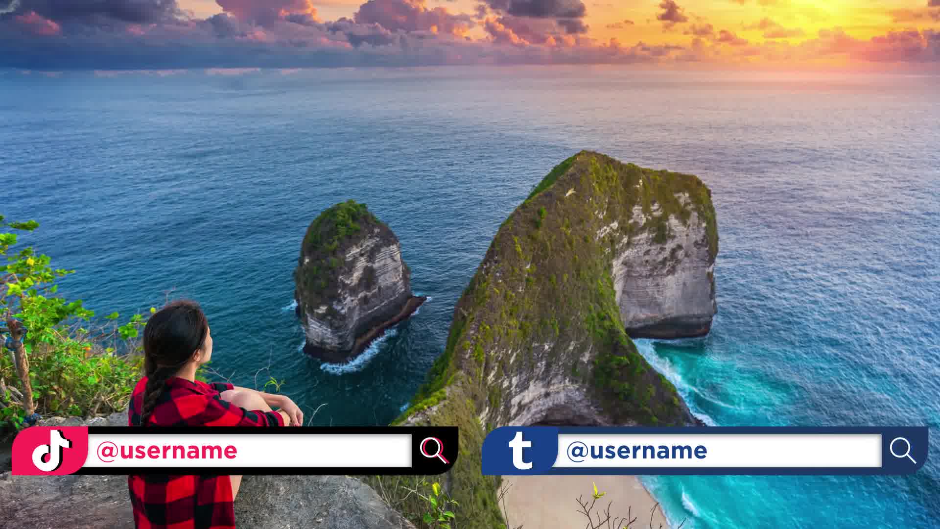 Social Media Search Bar Videohive 30958598 After Effects Image 10