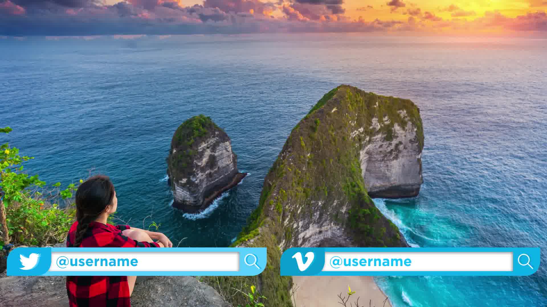 Social Media Search Bar Videohive 30958598 After Effects Image 11