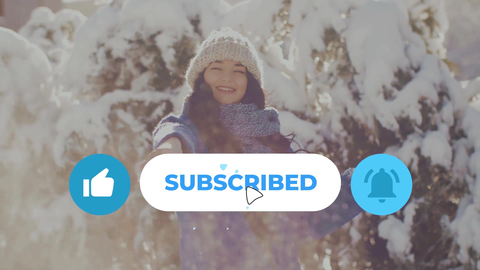 Social Media Snow Subscribers | Premiere Pro MOGRT Videohive 29436957 Premiere Pro Image 7