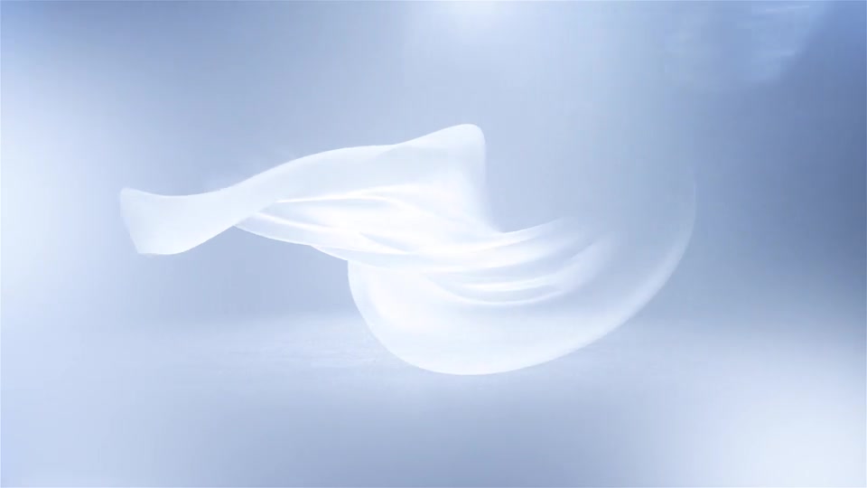 Soft Clean Logo Reveal Videohive 24079294 After Effects Image 7