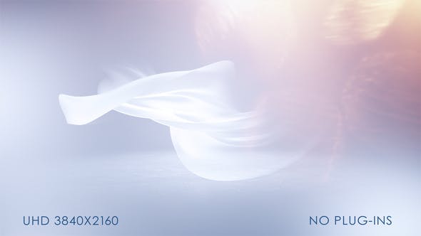 Soft Clean Logo Reveal - 24079294 Videohive Download