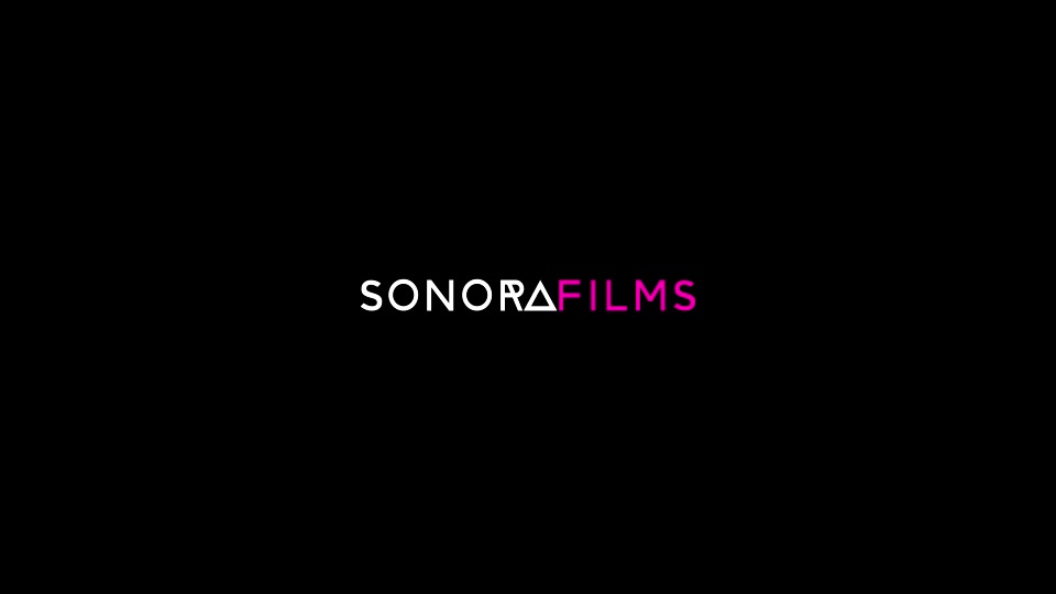 Sonorafilms Logo Pack - Download Videohive 20080080