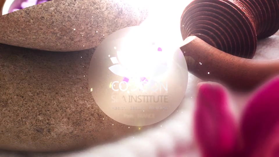 SPA Logo Reveal pack Videohive 12941204 After Effects Image 7