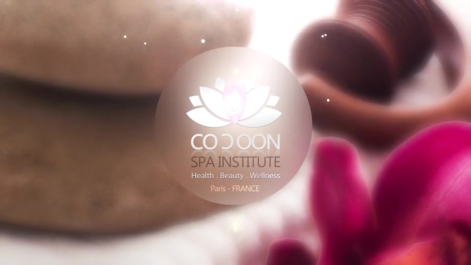 SPA Logo Reveal pack Videohive 12941204 After Effects Image 9