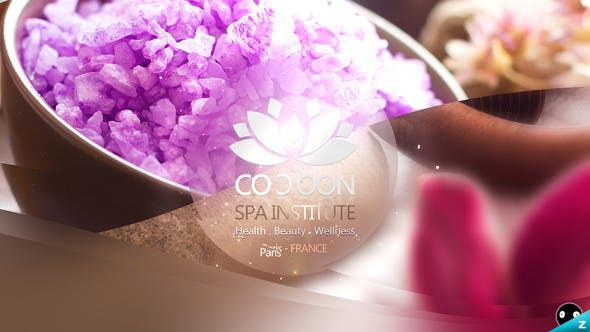 SPA Logo Reveal pack - Download Videohive 12941204