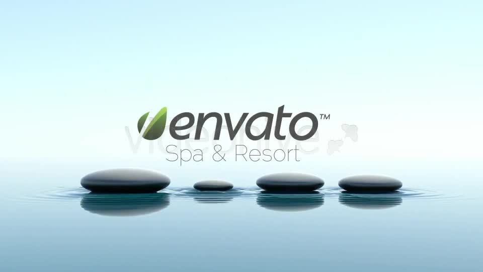 SPA Videohive 379486 Motion Graphics Image 1