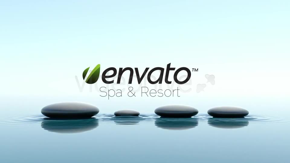 SPA Videohive 379486 Motion Graphics Image 2