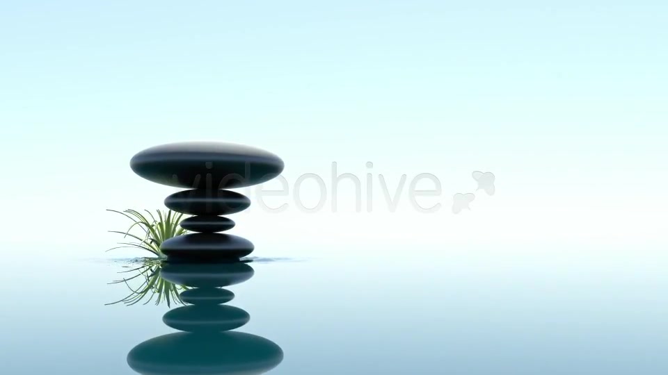 SPA Videohive 379486 Motion Graphics Image 6