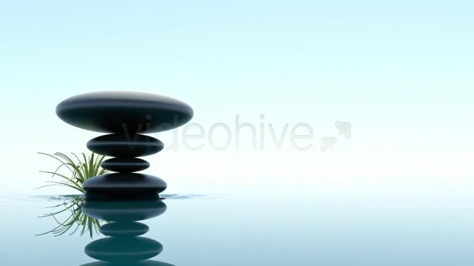 SPA Videohive 379486 Motion Graphics Image 7