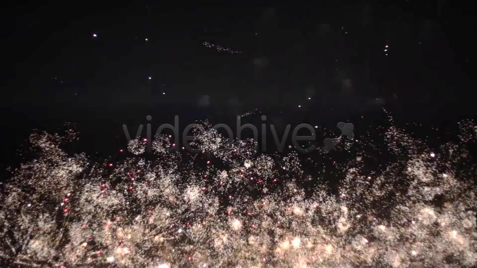 Spectacular Fireworks With Music  - Download Videohive 807718