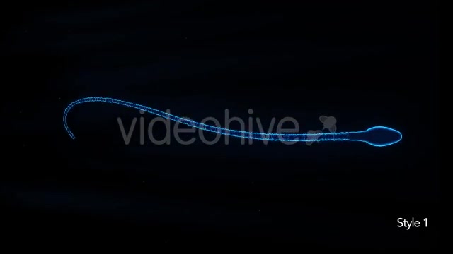Sperm Cell Isolated - Download Videohive 15200826