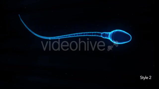 Sperm Cell Isolated - Download Videohive 15200826