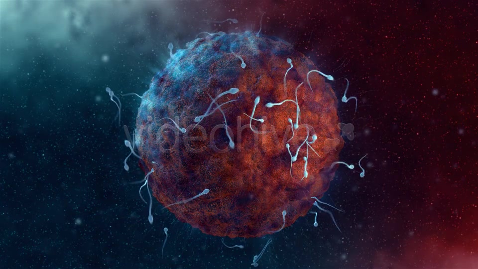 Sperm - Download Videohive 19275377