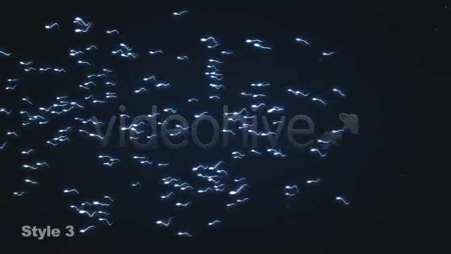 Sperm Swimming 3 Different Styles Looping Videohive 2021287 Motion Graphics Image 10