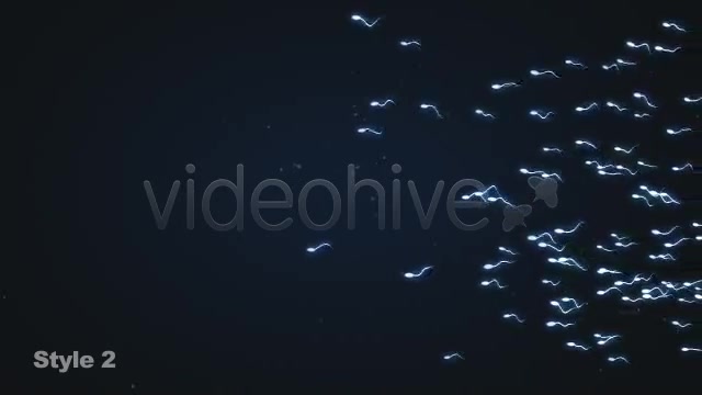 Sperm Swimming 3 Different Styles Looping Videohive 2021287 Motion Graphics Image 5