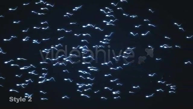 Sperm Swimming 3 Different Styles Looping Videohive 2021287 Motion Graphics Image 6